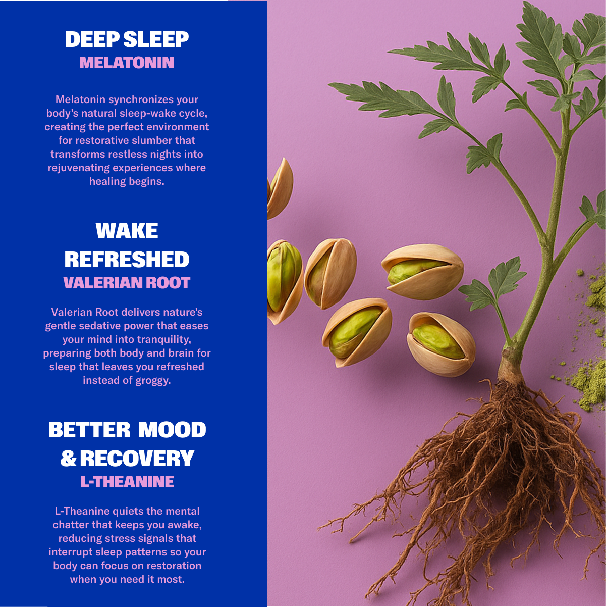 What each ingredient in NuStrips sleep strips does: melatonin for deep sleep, valerian root to wake refreshed, L-theanine for calm